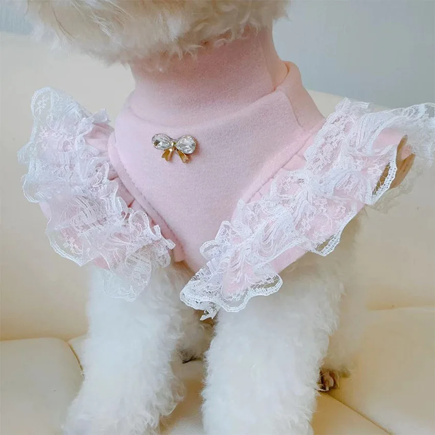 Lace Teddy Lingerie - Dierenkleding Herfst- en winterbasisshirt Kant Vliegende