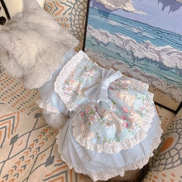 Lace Teddy Lingerie - Huisdier Schattige Schort Jurk Kant Bloemen